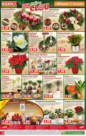 Norma Prospekt woche 46 Seite 15