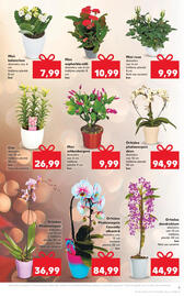 Catalog Kaufland săptămâna 45 Pagină 9