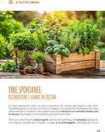 Volantino Supermercati Gulliver Pagina 27