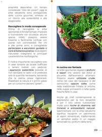 Volantino Supermercati Gulliver Pagina 29