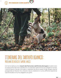 Volantino Supermercati Gulliver Pagina 61