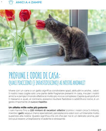 Volantino Supermercati Gulliver Pagina 87