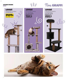 Volantino Arcaplanet Pagina 13