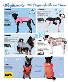 Volantino Arcaplanet Pagina 18