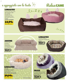 Volantino Arcaplanet Pagina 5