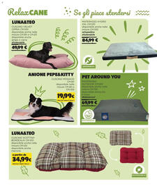 Volantino Arcaplanet Pagina 6