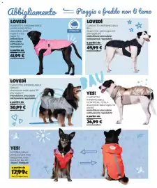 Volantino Arcaplanet Pagina 18