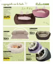 Volantino Arcaplanet Pagina 5