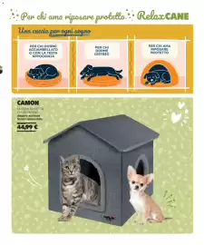 Volantino Arcaplanet Pagina 7