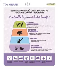 Volantino Arcaplanet Pagina 8