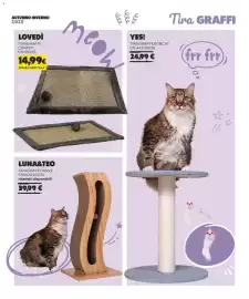 Volantino Arcaplanet Pagina 9