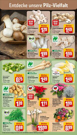 REWE Prospekt woche 45 Seite 7