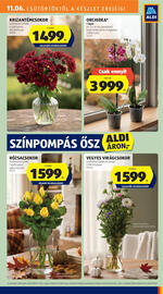 ALDI akciós újság Oldal 5