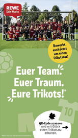 REWE Prospekt woche 45 Seite 33