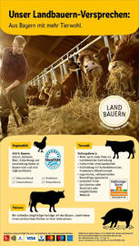 REWE Prospekt woche 45 Seite 2