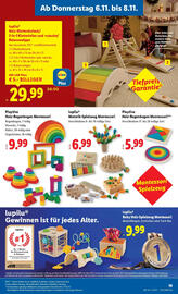 Lidl Flugblatt woche 45 Seite 21