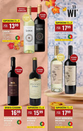 Biedronka gazetka Strona 11