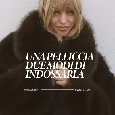 Folleto Terranova (válido hasta el 14-11)