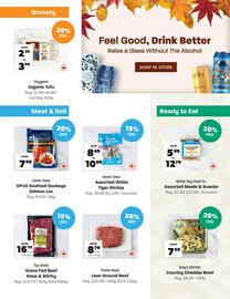 Blush Lane Organics flyer Page 4