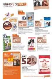 Catalogue Jardiland page 3