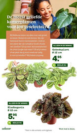 Welkoop folder week 45 Pagina 29