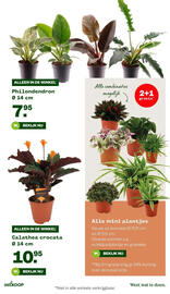 Welkoop folder week 45 Pagina 30