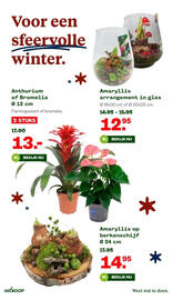 Welkoop folder week 45 Pagina 31