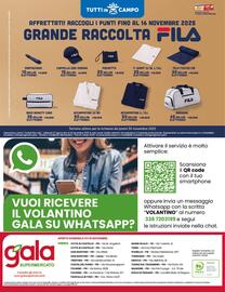 Volantino Gala Supermercati Pagina 24