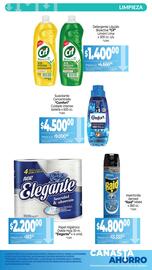 Catálogo La Anonima Página 10