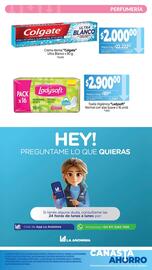 Catálogo La Anonima Página 9