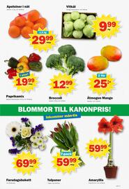 Pekås reklamblad vecka 45 Sida 7