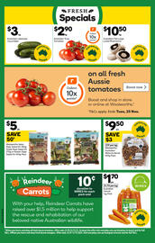 Woolworths catalogue week 45 Page 4