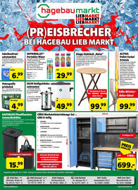 Liebmarkt Flugblatt Seite 1