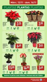 Folleto ALDI | semanal Página 17