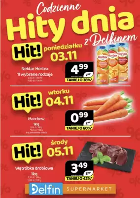Delfin gazetka (ważność do 5-11)