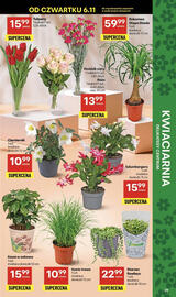 Delikatesy Centrum gazetka tydzień 45 Strona 39