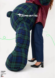 Ziengs folder Pagina 2