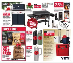 Ace Hardware flyer Page 3