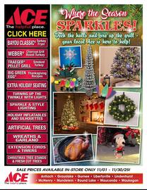 Ace Hardware flyer Page 1