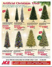 Ace Hardware flyer Page 10