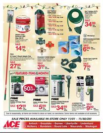 Ace Hardware flyer Page 12