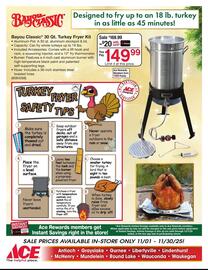 Ace Hardware flyer Page 2