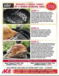 Ace Hardware flyer Page 3