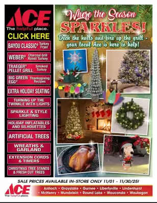 Ace Hardware flyer (valid until 30-11)