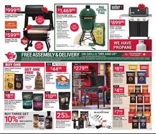 Ace Hardware flyer Page 3