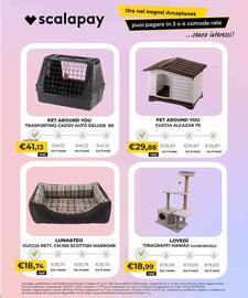 Volantino Arcaplanet settimana 45 Pagina 25