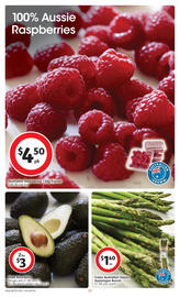 Coles catalogue week 45 Page 22