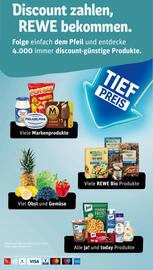 REWE Kaufpark Prospekt woche 45 Seite 31