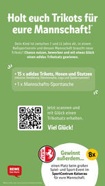 REWE Kaufpark Prospekt woche 45 Seite 34