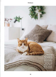 Fressnapf Magazin Seite 13